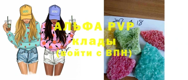 стафф Алзамай
