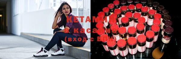 стафф Алзамай