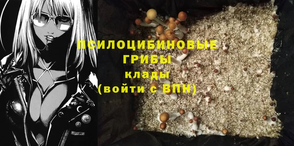 ПСИЛОЦИБИНОВЫЕ ГРИБЫ Алексеевка