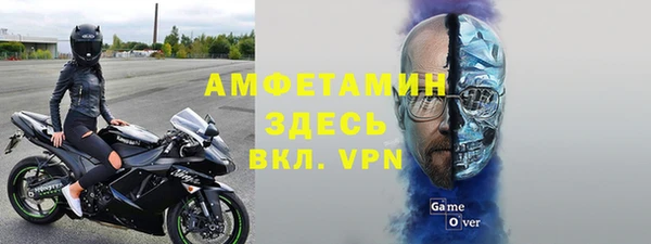 стафф Алзамай