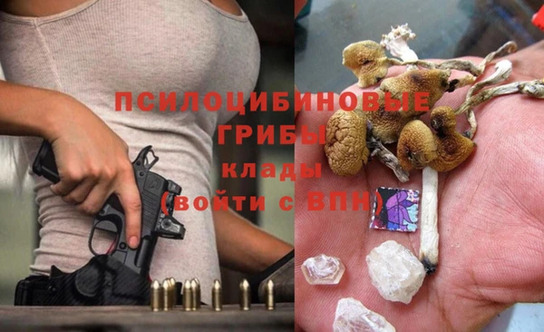 ПСИЛОЦИБИНОВЫЕ ГРИБЫ Алексеевка