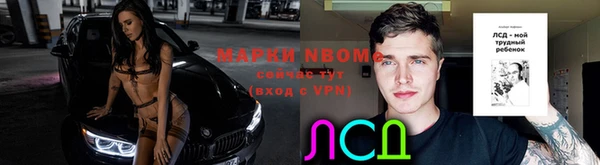 стафф Алзамай