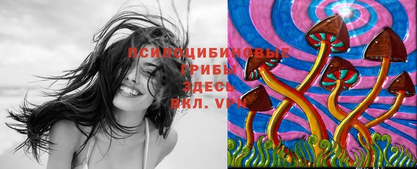 ПСИЛОЦИБИНОВЫЕ ГРИБЫ Алексеевка