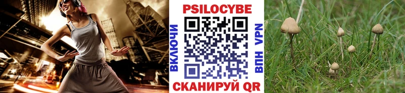 площадка состав  хочу   Рубцовск  Псилоцибиновые грибы мухоморы 
